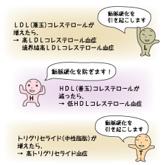「総コレステロール」ではなく個別のコレステロール値を見る