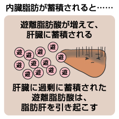遊離脂肪酸の検査でわかること
