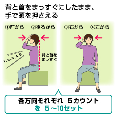 首を伸ばし、肩を下げて美しい姿勢をつくる