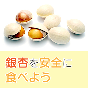 美味しいけれど毒もある。秋が旬の銀杏の安全な食べ方とは