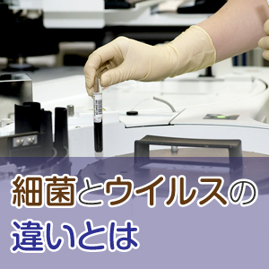 細菌とウイルスの違いは？感染を防ぐ方法も紹介