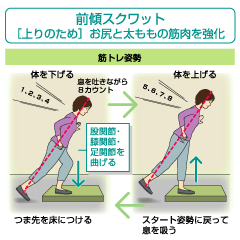 運動の基本は体づくり、一番は筋力強化