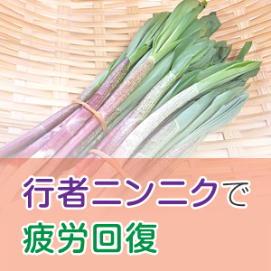 春の山菜！栄養豊富な行者ニンニクを食べよう