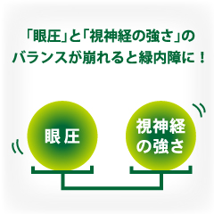 緑内障とは