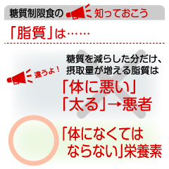 糖質を減らせば、必然的に増える脂質は、体にとって重要な栄養素