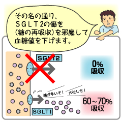 ダイエットが成功しない糖尿病患者さんが、新しい糖尿病治療薬を服用すると