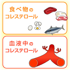食べ物に含まれるコレステロール