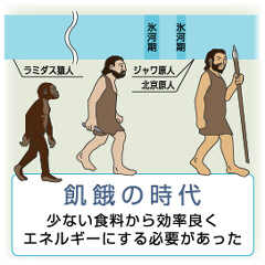 有酸素運動、実はさほどカロリーを消費しない