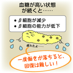 すい臓のβ細胞は、一度機能が低下したら回復が難しい