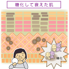 高血糖は、皮膚に悪影響を及ぼす