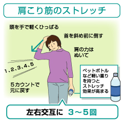 静的作業と運動不足が肩こりの原因