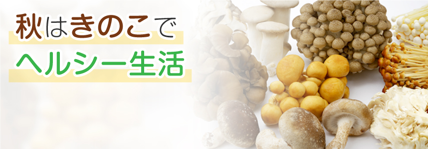 食欲の秋は、栄養豊富なきのこを活用してヘルシーな生活を送ろう!