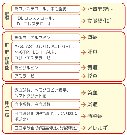糖尿病ウォーキング体験セミナー インクロム